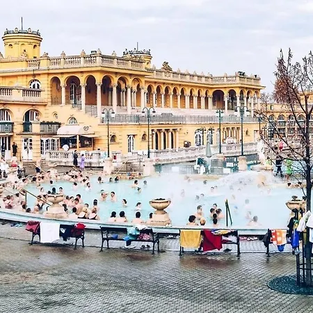 Lejlighed Spacious 5br By Opera, Liszt Ferenc & Centre *