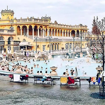 Spacious 5br By Opera, Liszt Ferenc & Centre Budapest